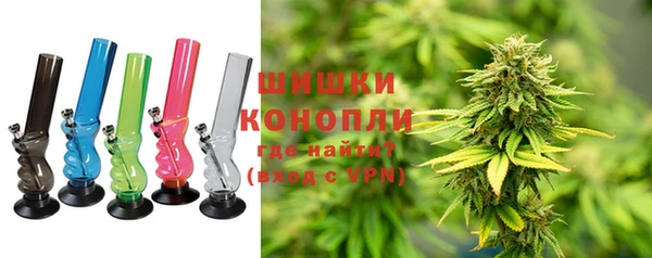 дживик Бородино