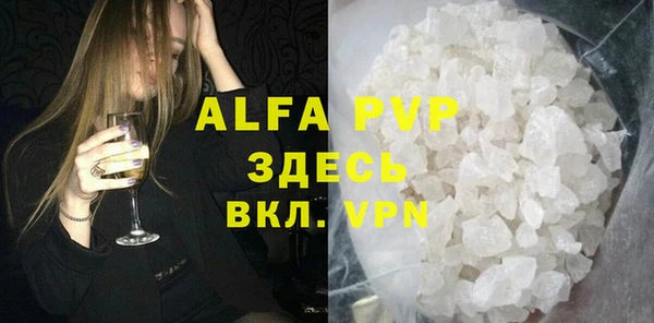 дживик Бородино