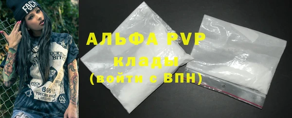 дживик Бородино