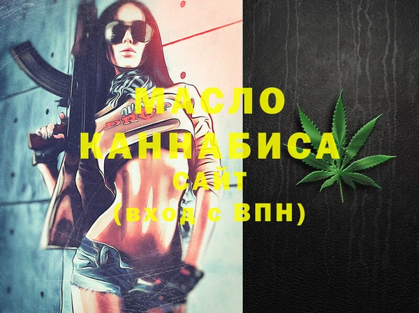 дживик Бородино