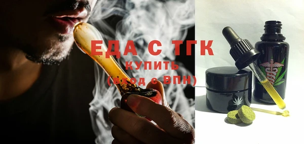дживик Бородино