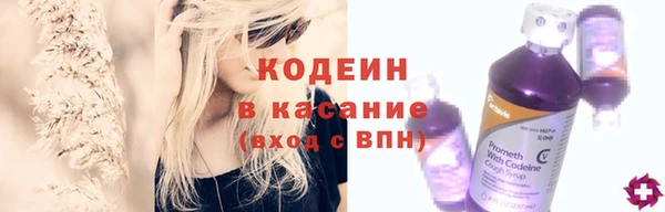 дживик Бородино