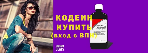 дживик Бородино