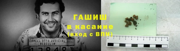 дживик Бородино