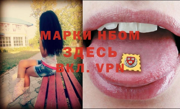 дживик Бородино