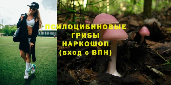 гашик Бугульма