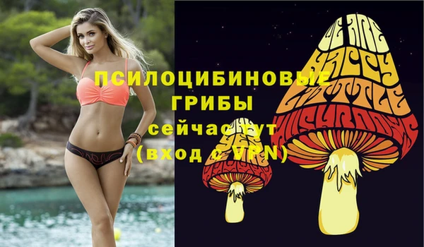 марки lsd Богородск