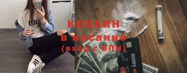 дживик Бородино