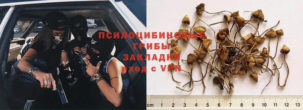дживик Бородино