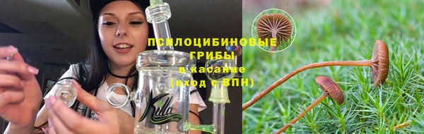 2c-b Бронницы