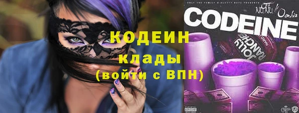 дживик Бородино