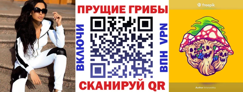 mega онион  купить закладку  Комсомольск-на-Амуре  Галлюциногенные грибы Psilocybe 